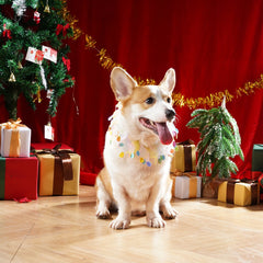 1Pc Pet Dog Collar Neck Ring Puppy Pug Collar Hairband with Elastic Pendants Clown Role Play Cat Product Small Animal Photo Prop