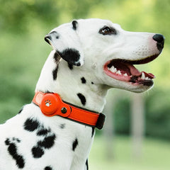 Location Pet Tracking Smart Collar Easy To Use Only Works With For Apple Find My Silver