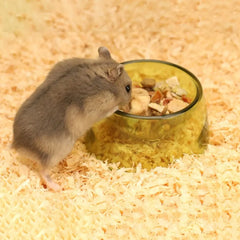 Bite Resistant Hamster Food Basin Plastic Transparent Hamster Water Bowl Non-slip Pet Feeding Bowl For Rats Hamster Guinea Pig
