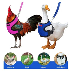 Pet Duck Chicken Poultry Chicken Clothes Chicken Vest Hen Belt Pet Harness Matching Collars Bow Poultry Supplies Hamster Clothes
