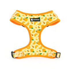 Collarlogo Adjustable Pet Dog Collar Durable Soft Cute Creative Orange Design Leash Neoprene Padded Harness Poop Bag Dispenser