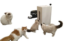 2024 New Wooden Cat and Dog Food Bowls Home Pet Feeder with Storage and Dispenser for Reptiles