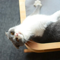 Nordic Style Eco-Friendly Cat Hammocks Small Animal Pet Cat Beds Rocking Bed Feature