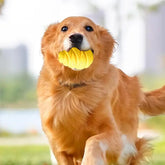 Interactive Dog Treat Toys Leaking Food Treat Dispenser Toy Bright Color Chewing Toy For Dog Training Food Distribution Play