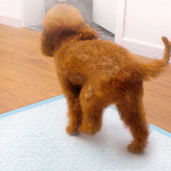 20/50Pcs Absorbent Dog Diaper Disposable Puppy Training Pee Pad Quick Dry Surface Mat Clean Cushion Dog Training Home Pet Supply