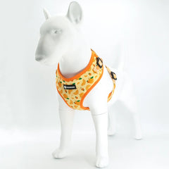 Collarlogo Adjustable Pet Dog Collar Durable Soft Cute Creative Orange Design Leash Neoprene Padded Harness Poop Bag Dispenser