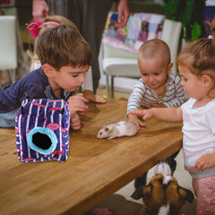 Hamster Nest Warm Hammock Winter Guinea Pig Rat Cotton Sugar Glider Hideout Hedgehog Hanging Bed