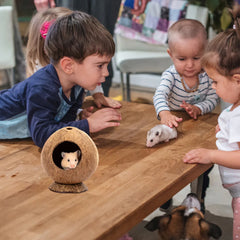 Keep Warm Hamster Nest Bunny Toys Rabbit Hiding House Coconut Little Critters Biting