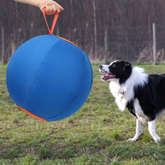 Pet Herding Ball Toy Dogs Exercise Play Toy Treat Pet Dogs Training Chew Toy Dropship