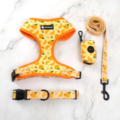 Collarlogo Adjustable Pet Dog Collar Durable Soft Cute Creative Orange Design Leash Neoprene Padded Harness Poop Bag Dispenser