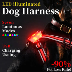 High Quality Dog Collar LED Dog Harness Pet Rechargeable Adjustable Flashing Collar Night Anti-Lost Dog Light Harness