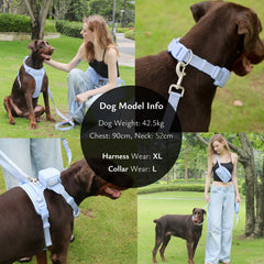Personalized Harness and Leash for Dogs Adjustable No Pull Dog Harness Set with Poop Bag Holder Walking Bag Pet Collar Leash Set