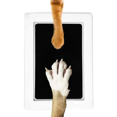 Pet Paw Print Ink Pad Kit, Baby Handprint, Footprint, Safe, Non-toxic, Mess-free, DIY, Easy Clean, Pet Souvenir