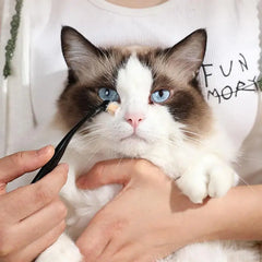 Pet Tear Stain Remover Brush Mini Dog Tear Brush Tear Stain Comb Pet Eye Cleaning Brush Soft Comfortable Pets Grooming Comb