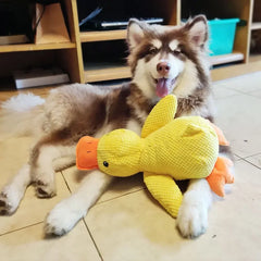 Kong Dog Toy,for Small and Large Dogs,with Soft Sound,suitable for Indoor Puppies/elderly Puppies,plush No Mess Chew and Play