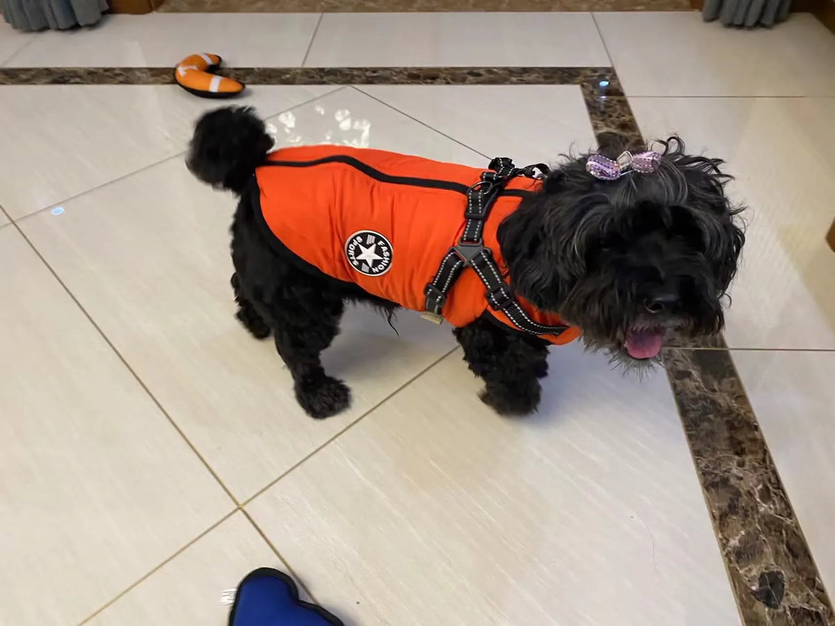 Waterproof Warm Dog Jacket Vest Winter Dog Clothes With Harness French-Bulldog Coat Pet Costume for Small Large Dogs Chihuahua