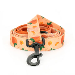 Collarlogo Adjustable Pet Dog Collar Durable Soft Cute Creative Peach Design Leash Neoprene Harness Poop Bag Dispenser