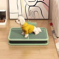 Dogs Potty Articles Dog Accsesories Toilet Mat Soakers Plate Items Pet Products Poop Bags Dispenser Brush BagCat Litter Box