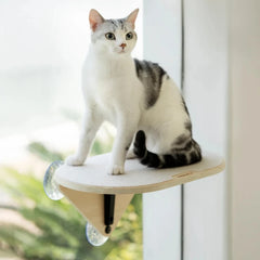Mewoofun Air Cat Climbing Frame Window Jumping Platform Glass Suction Cup Wall Shelf Sisal Scratching Post Perfect for