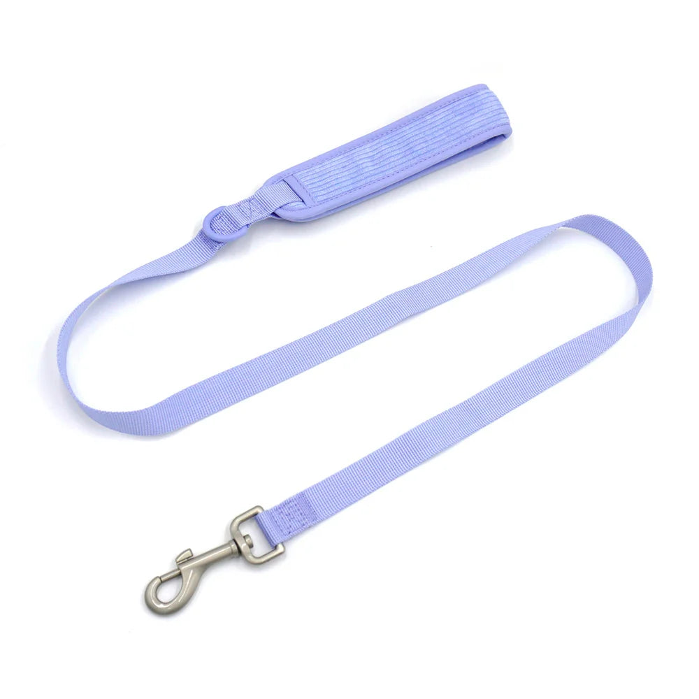 Personalized Harness and Leash for Dogs Adjustable No Pull Dog Harness Set with Poop Bag Holder Walking Bag Pet Collar Leash Set